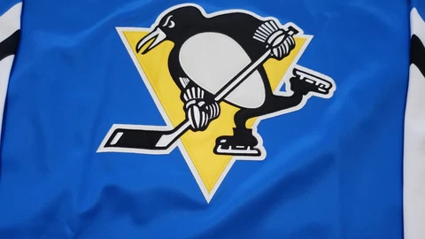 PITTSBURG PENGUINS BLANK 1975-76 type NHL NO TAGS Jersey Size XXL Cover