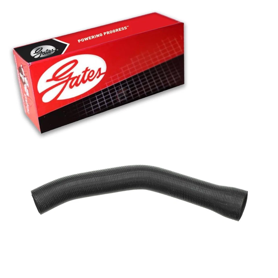 Manguera de refrigerante de radiador Gates superior para Ford F-100 1977-1979 Foto 1 de 3