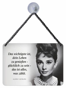 Letrero de chapa de culto - Disfrutar de la vida - feliz - Hepburn 16,5x11,5 cm KH163 - Imagen 1 de 2