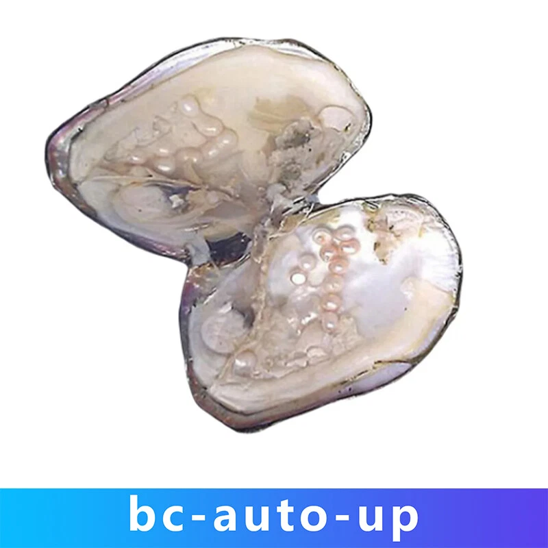 25 Pearls Vacuum Pack With 5-7mm Big Natural Freshwater Cultured Pearl Oyster  - Image 1 of 4