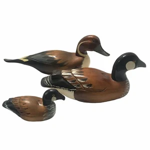 3 Wood Duck Set Mallard Carved Painted Pintail Decoy A.America Glass Eyes - Picture 1 of 16