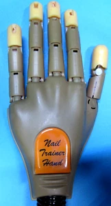 Nail Trainer Hand uses Disposable Fingernails - Picture 1 of 2