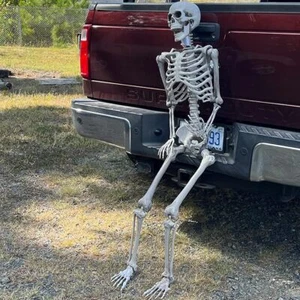 5.5FT Halloween Life Size Skeleton 66" Realistic Posable Human Hanging Skeleton - Picture 1 of 8