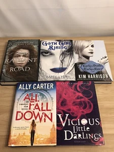Book Lot 5 YA Teen Young Adult Romance Fantasy Fairy Goth Supernatural Suspense - Picture 1 of 12
