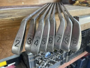 Lynx Master USA 2-PW Iron Set Right Handed Steel Stiff Flex Need Love - Picture 1 of 6