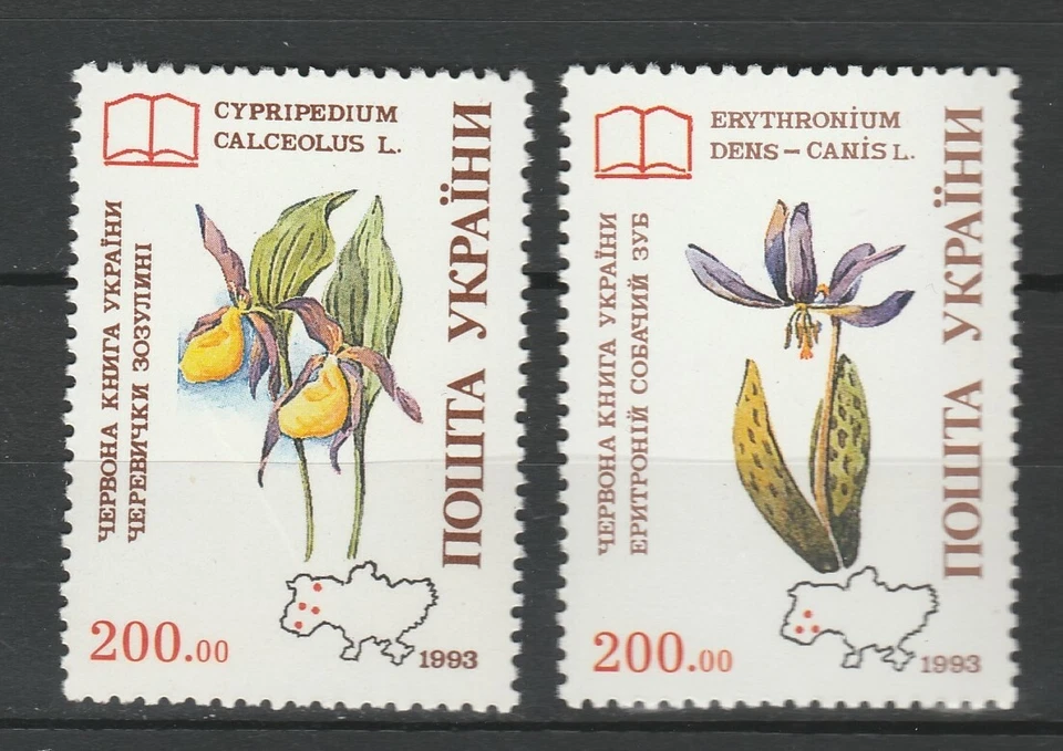 Ukraine 1994 Flowers 2 MNH stamps - Image 1 of 1