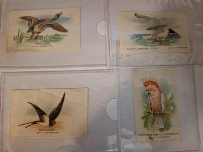 Godfrey Phillips bird card silks - Image 1 of 3