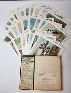 Lote de impresiones de aves vintage (Universidad de Minnesota 1960) (29 piezas) - Imagen 1 de 7