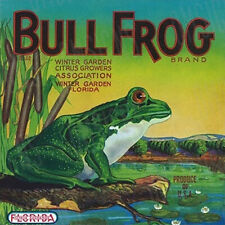Vintage Bullfrog Florida Fruit Label Reproduction Metal Sign FREE SHIPPING