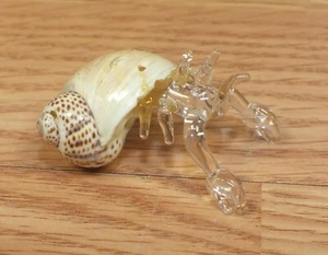 Mundgeblasene Glasfigur Einsiedlerkrabbe innen echte braune Muschel mit Krallen raus! - Bild 1 von 5