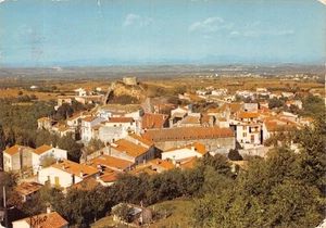 66-LAROQUE DES ALBERES-N�T2201-D/0391 - Foto 1 di 2