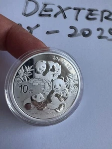 2025 China Panda Silver Coin in Original Capsule .999 30g - Picture 1 of 4