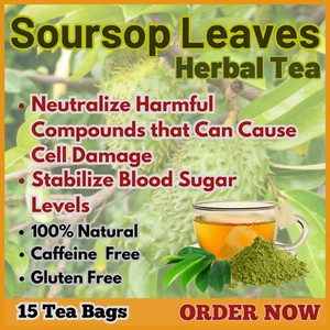 Soursop Leaves Herbal Tea Bags Annona Muricata Guanabana Graviola Organic Powder - Picture 1 of 3