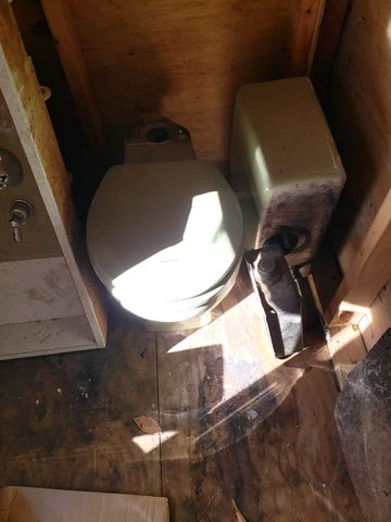 Vintage Avocado Green Toilet Cover
