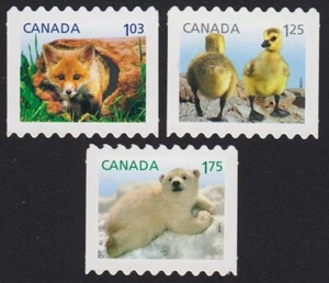 BABY BEAR, GOOSE, FOX = SET of 3 DIE CUT Coil sts Canada 2011 #2427ii-2429ii MNH - Picture 1 of 1