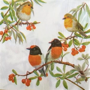 20 Red Breasted Robin Paper Napkins 3ply wedding Luncheon Serviette 33x33cm - Picture 1 of 4