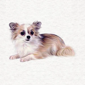 Hund - Chihuahua Stoff Handwerk Paneele in 100 % Baumwolle oder Polyester - Bild 1 von 3