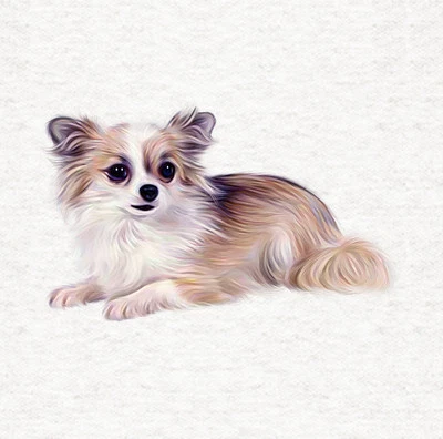 MOONLAKE FABRICS Hund - Chihuahua Stoff Handwerk Paneele in 100 % Baumwolle oder Polyester