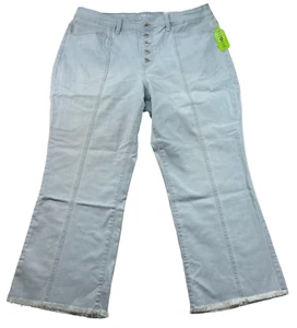 Style & Co Cropped Flare Pants Womens Size 18 Blue Denim Stretch Curvy Fit  New - Picture 1 of 8