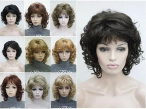 Ladies Wig Short Curly Wave Women Daily Fluffy Hair Wig Cosplay 14 Colour - Picture 1 of 20