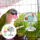 Vogel Spielzeug Mini-Basketball für Papageien & Co.