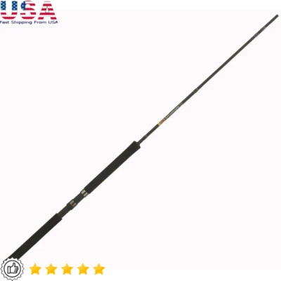 10ft Graphite Jig Fishing Rod Lightweight Crappie Pole High Sensitivity Guides - Image 1 of 4