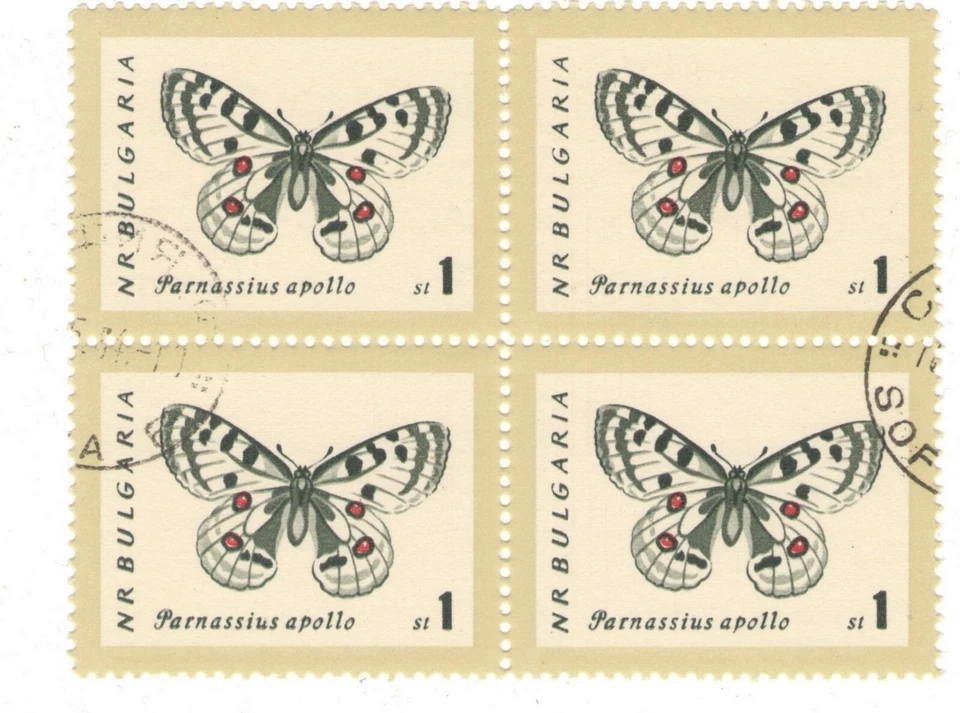 Bulgaria 1962 CTO Bloque: Mariposas (Parnassius Apollo) Foto 1 de 1