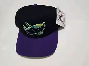 Tampa Bay Devil Rays Sports Specialties Vtg 90s Purple Rim Snapback Hat Mlb NWT - Picture 1 of 12