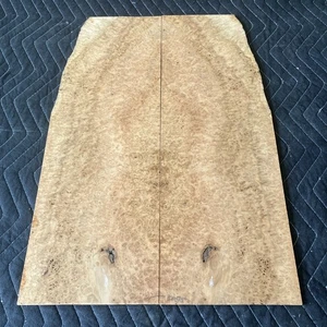 Tapa de guitarra Big Leaf Maple Burl Droptop para eléctrico/bajo - Imagen 1 de 12