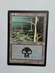 1 x MTG S-Chinese Portal Basid Land (Swamp 206s)---N/M - Picture 1 of 1