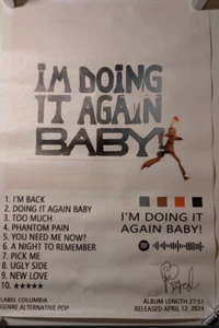 "I'm Doing It Again Baby!" Album Poster - 2024 Release, Pre-Owned - Picture 1 of 1