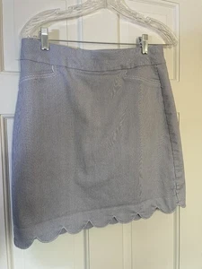 CROFT & BARROW WOMENS BLUE & WHITE STRIPE COTTON BLEND LINED SKORT - SIZE 6 - Picture 1 of 11