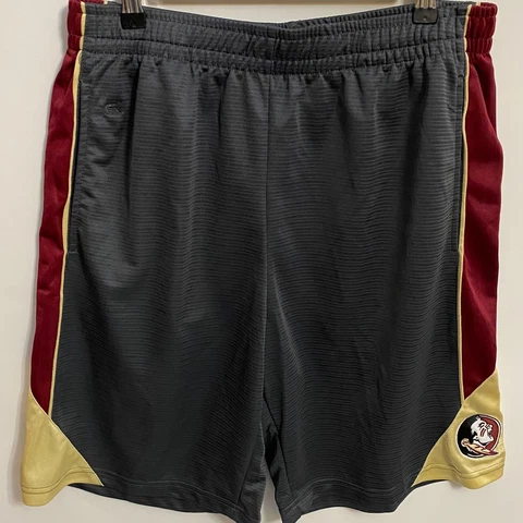 Florida State Seminoles NCAA Colosseum Men's L Polyester Shorts Cover