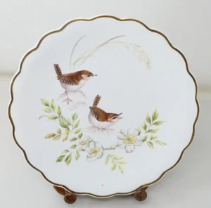 Royal Worcester Dorothy Doughty Wrens Burnet Rose Dessert Plate 230mm - Picture 1 of 3