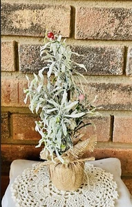 Mini Frosty Herb Tabletop Christmas Winter Tree, 10” NEW - Picture 1 of 6