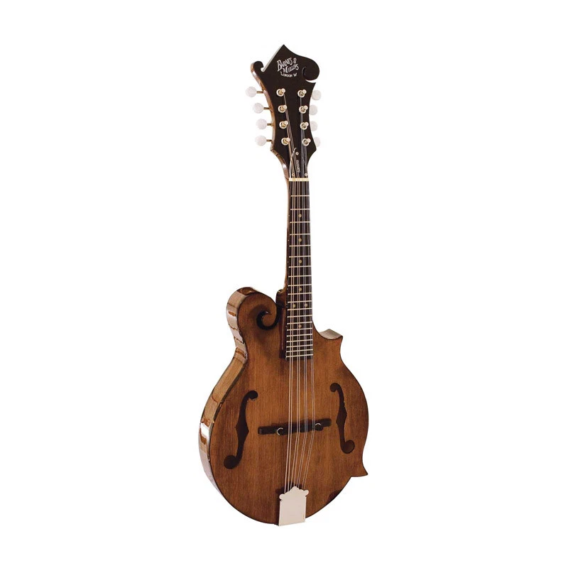 Barnes and Mullins Salvino BM650 Mandolin