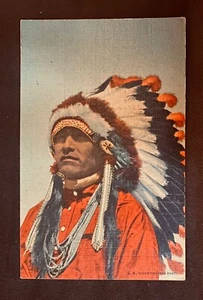 Tocado de pluma completa de hombre indio ~ postal de lino nativo americano - Imagen 1 de 2