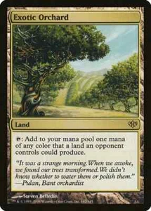 Exotic Orchard - Conflux - Magic the Gathering MTG - Picture 1 of 1
