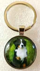 Bernese Mountain Dog In Green Field Round Silver Alloy Key Ring Keyring Jewelry - Picture 1 of 5