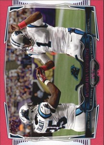 2014 Topps Pink Carolina Panthers Football Card #146 Carolina Panthers