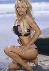 Pamela Anderson Barefoot Bikini  4 X 6 Reprint 
