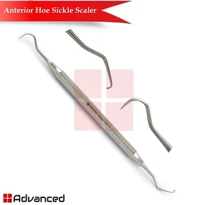 Escalador de hoz de azada anterior periodontal removedor de cálculo de placa de sarro raspador - Imagen 1 de 3