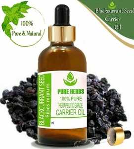 Pure Herbs Blackcurrant seed 100% Pure & Natural Ribes nigrum Carrier Oil - Picture 1 of 6