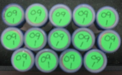 (14) 2009 Birth Childhood Cabin BU Lincoln Cent Rolls - Image 1 of 4