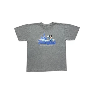 Disneyland Resort T-Shirt - Picture 1 of 4