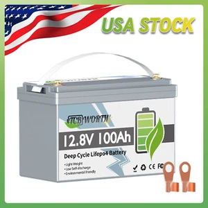 12V 100Ah LiFePO4 Lithium Battery BMS for Solar RV Off-grid Trolling Motor Boat - Picture 1 of 16