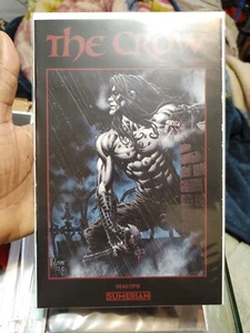 The Disputed & The Crow Bundle 8-Book Lot Multiple Artists And Variants - Picture 1 of 8