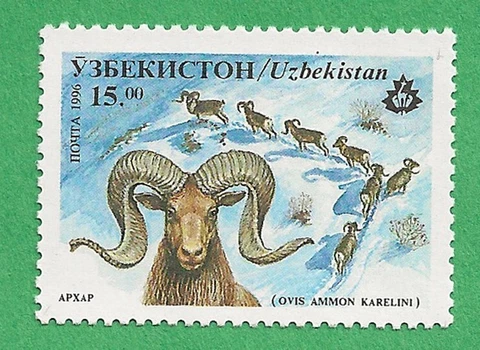 Uzbekistan Scott 108 MNH 1996 Tian Shan Argali stamp Cover
