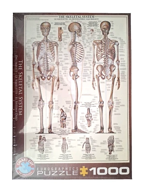 Eurographics Puzzle Das Skelett, Anatomie, 1000 Teile, 68 x 48 cm,