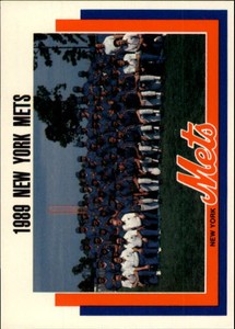1989 (METS) Mets Kahn's #31 Mets Team Photo